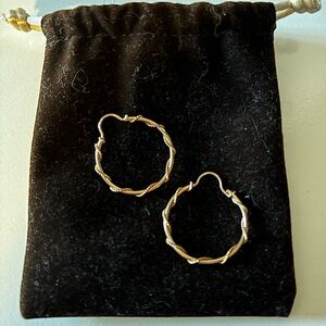 Simple gold twist keeper earrings.